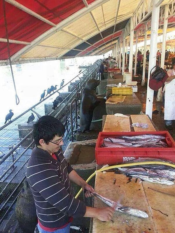 11. Надо как-то отрабатывать обеды