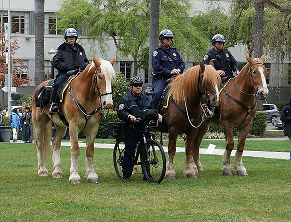 38. Что выдали - на том и работай