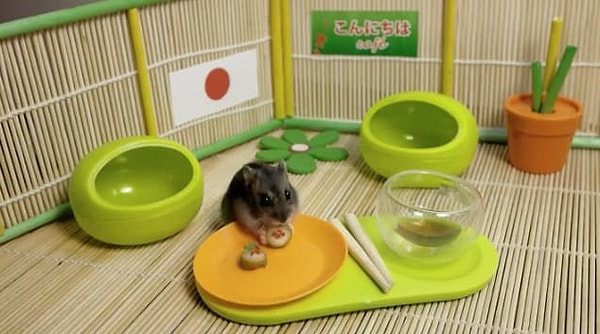 5. Человек, создавший самый маленький в мире суши-ресторан для своего хомяка