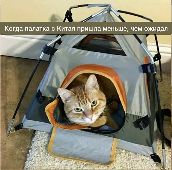 12. Парень, который обрадовался неудачному заказу