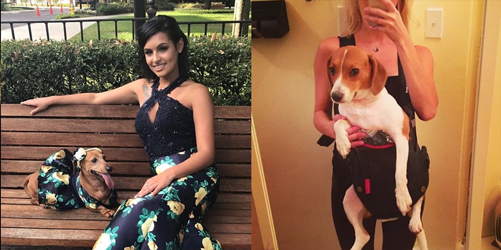 17 хозяев, которые любят своих домашних животных больше, чем людей