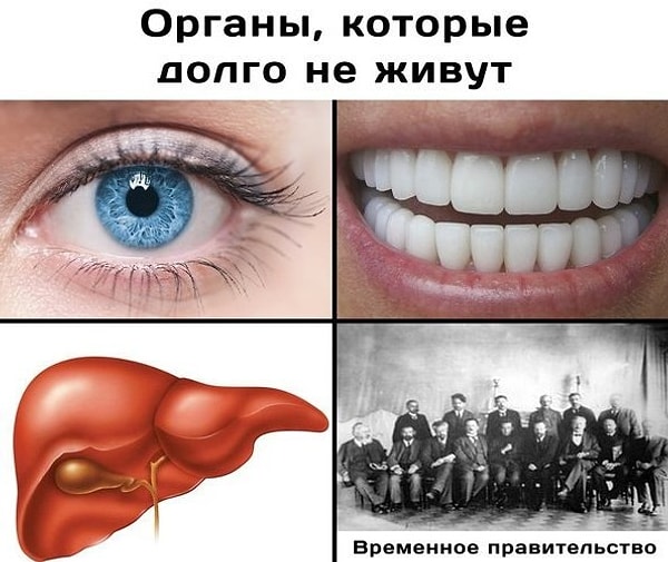 14. На то оно и временное...