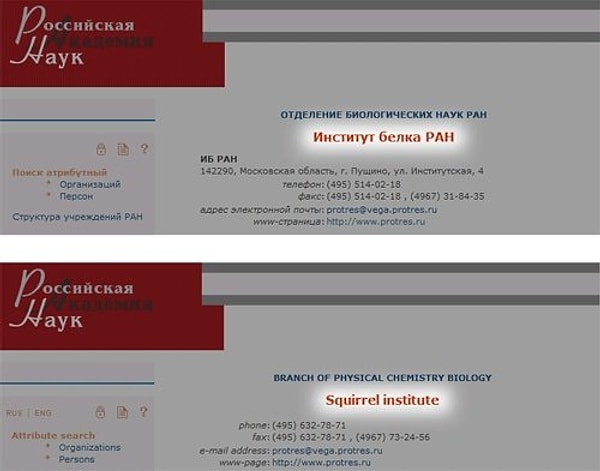 1. Вот и не поймешь, то ли белОк изучают, то ли бЕлок...