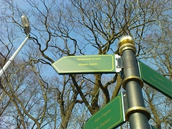 20. Хотелось бы знать, почему она зеленая