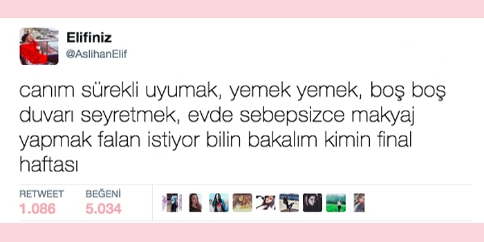 Öğrencilerin Korkulu Rüyası Final Dönemine Ait Hislerini Komik Şekilde Paylaşan 17 Kişi