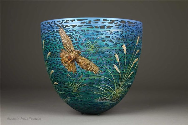 7. Новозеландский сокол