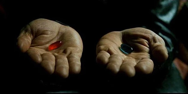 10. Что бы вы выбрали?