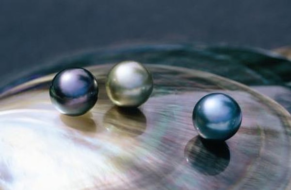 Черный жемчуг