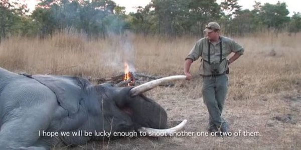 Однако он не заметил, как с другой стороны к нему быстро приближался четвертый слон.