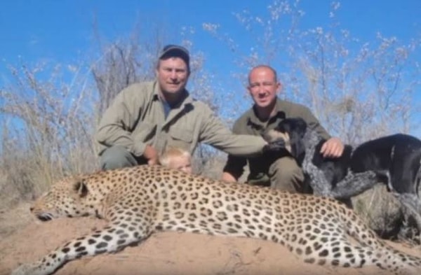 Известен тот факт, что Теюнис Бота охотился также на львов и леопардов.