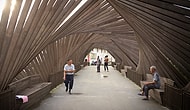 Küçük Çin Köyünün Yeniden Tasarlanmasını Sağlayan İlk Uluslararası Bambu Bienali