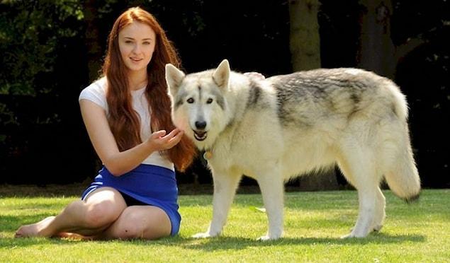 8. Sophie Turner (Sansa Stark) ended up adopting the dog that played her direwolf in the show.