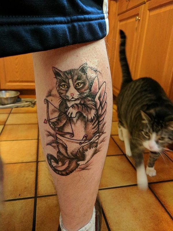 16. Кот-купидон в подгузниках. Как ему вообще пришла в голову эта идея?