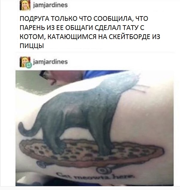 6. Кошка, пицца и скейтборд - что еще нужно для счастья?