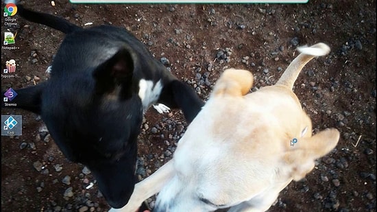 İndirilen Altyazı Yüzünden Bilgisayarınızın Hacklenebileceğini Biliyor muydunuz?