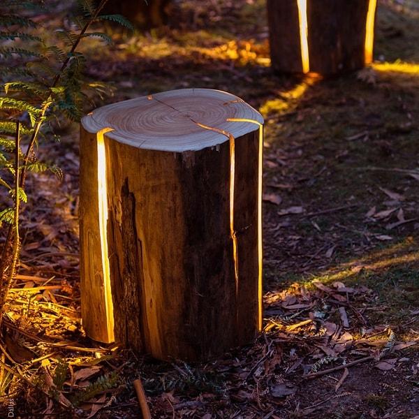 16. Eski ağaç kökünden yapılan lamba