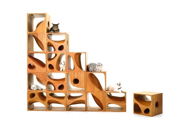 19. Kedi koltukları