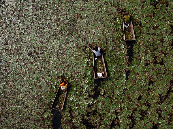 10. Сейчас фотографы, которые специализируются на аэрофотосъёмке, могут контролировать весь процесс при помощи простого смартфона.