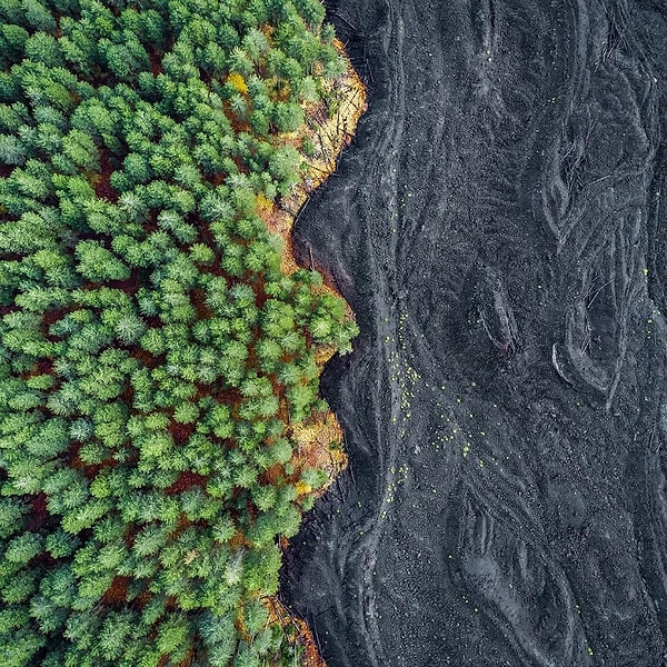 21. Не хотите ли заняться аэрофотографией?