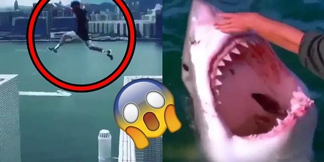 17 People Who Do Crazy, Dangerous And Stupid Things Just For Fun!