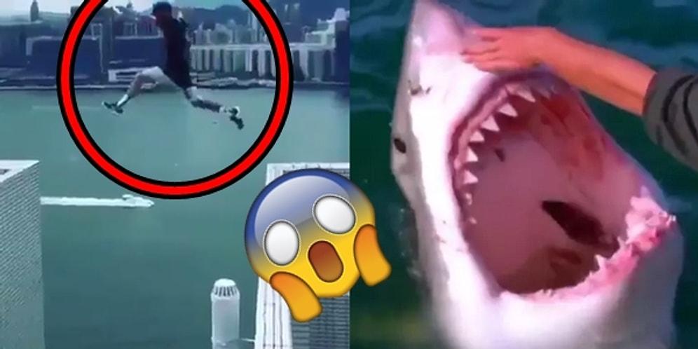 17 People Who Do Crazy, Dangerous And Stupid Things Just For Fun!