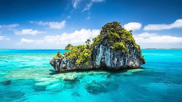 1. Fiji