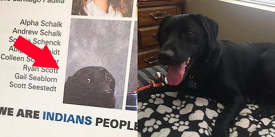 В этом выпускном альбоме есть фото собаки, и это не чья-то шутка...