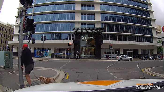 Şoföre Kızayım Derken Direğe Kafa Atan Öfkeli Yaya