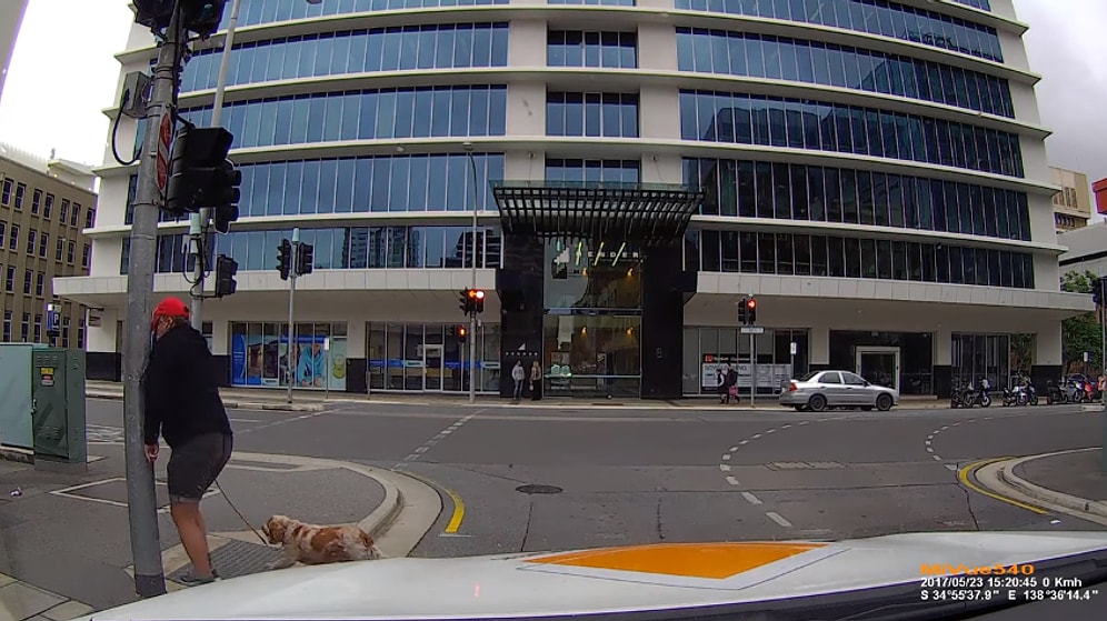 Şoföre Kızayım Derken Direğe Kafa Atan Öfkeli Yaya