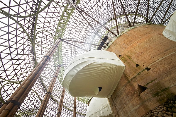 ... красоте и ценности бамбука...