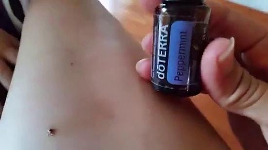 Watch This Woman Smoothly Get Rid Of A Tick Using Peppermint Oil 😬
