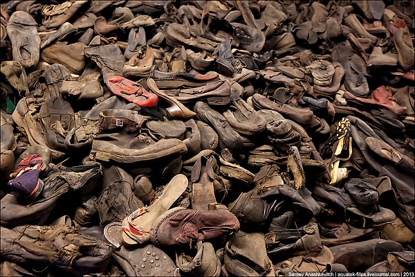 11. Немые свидетели последних минут жизни своих хозяев.