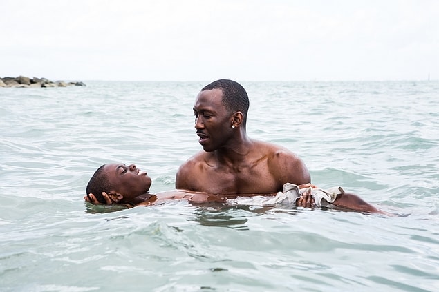 41. Moonlight / Ay Işığı | #36