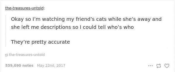 "Arkadaşım seyahatteyken kedilerine ben bakacağım, hangi kedinin kim olduğunu anlamam için bana notlar bırakmış."