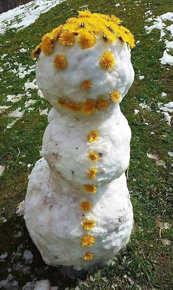 10. Маевик — это как снеговик, только в мае