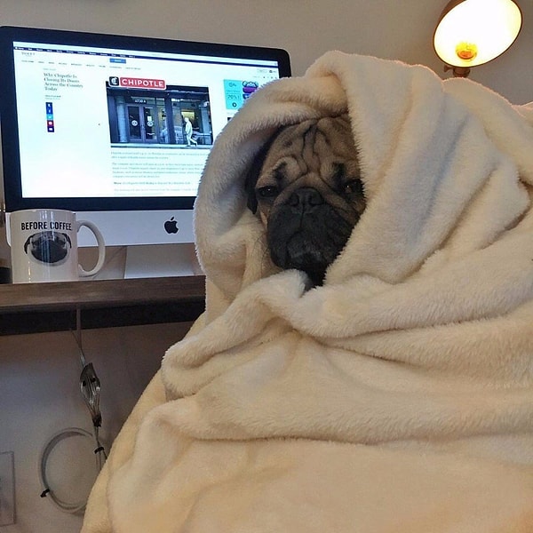 12. Не так мы себе представляли майские праздники