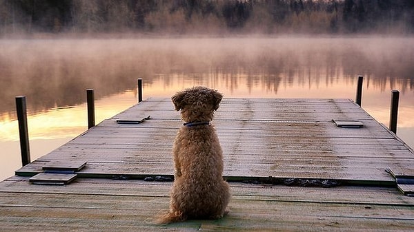 5. Когда делаешь людям добро, то добрые люди это ценят, равнодушные — забывают, а наглые становятся еще наглее.