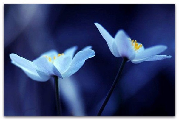 17. Будьте добрее, когда это возможно. А это возможно всегда.