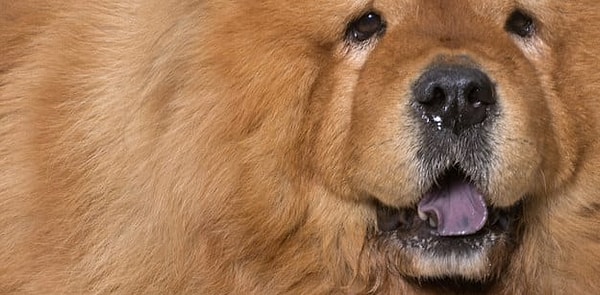 Посмотреть ответ: