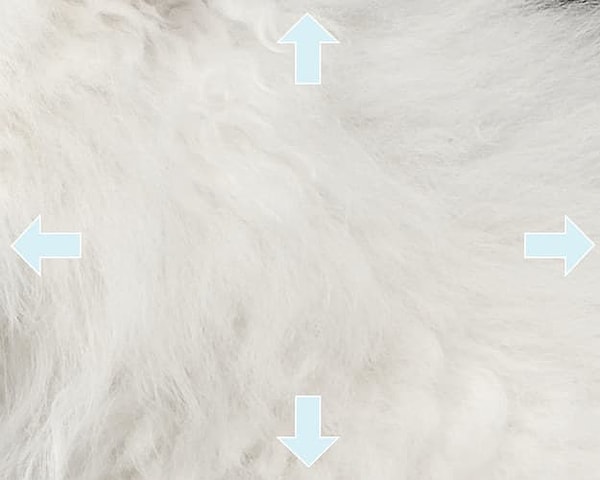 3. Посмотрите внимательно: