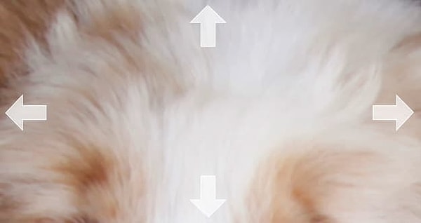 4. Верное направление под стрелкой...