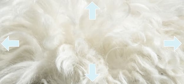 5. Сможете угадать верное направление тут?