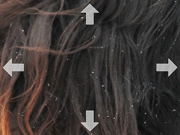 6. Верное направление ведет...