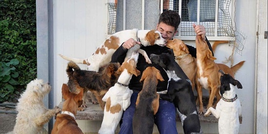 Только настоящий любитель собак сможет набрать в этом тесте 7/7