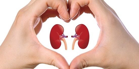 Boşaltım Sistemimizin Baş Tacı Böbreklerimizi Korumak İçin Tüketebileceğimiz 13 Besin