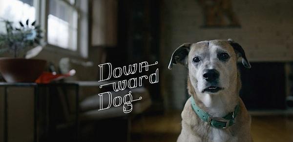 5. Downward Dog