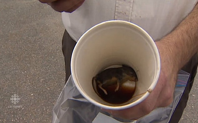 5. Imagine you're enjoying your coffee in a fast food restaurant and finding this after you finish drinking the whole thing. 😨