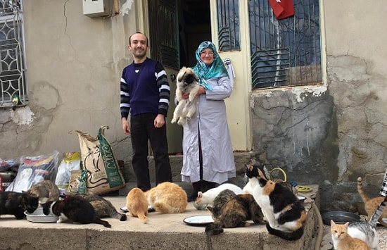Engelli Oğluyla Birlikte 60'dan Fazla Kediye Bakan Teyze