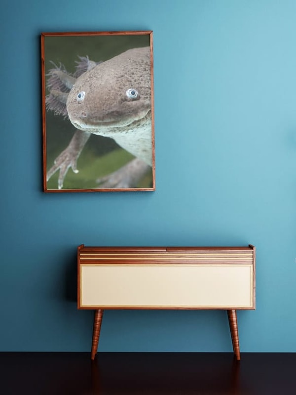 1. Ровно ли висит эта картина?