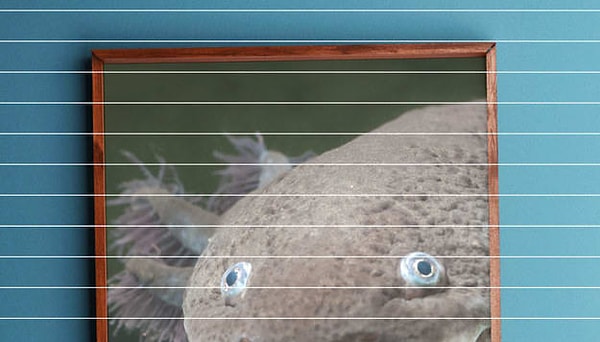 Посмотреть ответ: